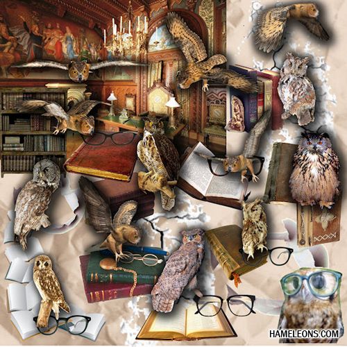 1301611107 ky9i2zupf6mm3ks